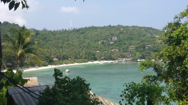 Koh Tao Shark Bay