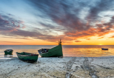 Strandhaus in Deutschland 2026: Die schönsten Strandhäuser direkt am Meer