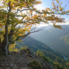 Auszeit im Harz: 6 Tage im 3.5* Ferienpark Brockenblick mit Frühstück, Dinner & Extras für 249€ Auszeit im Harz: 6 Tage im 3.5* Ferienpark Brockenblick mit Frühstück, Dinner & Extras für 249€