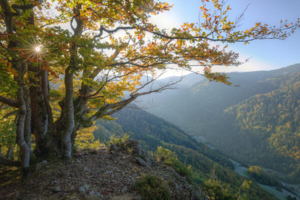 Schwarzwald Aussicht