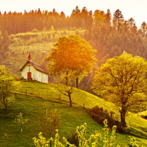 Nachhaltig Reisen im Schwarzwald: 2 Tage im TOP 5* Naturresort für 110€ Nachhaltig Reisen im Schwarzwald: 2 Tage im TOP 5* Naturresort für 110€