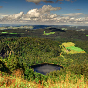 Top 10 Reiseziele 2022: Lonely Planet wählt Freiburg in Top Drei der besten Reiseziele