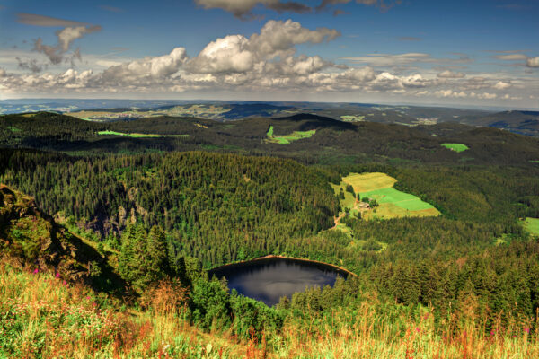 Wälder in Deutschland