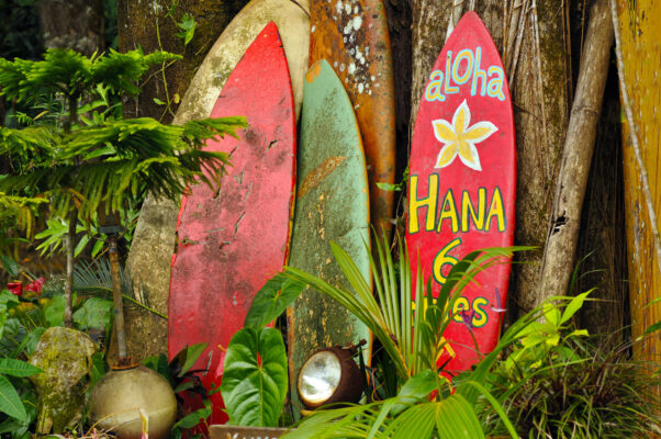 Hawaii Surfboards