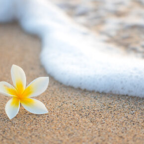 3 Inseln in 12 Tagen: Hawaii-Rundreise mit Hotels & Mietwagen ab 2575€