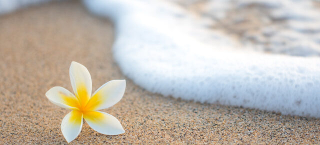3 Inseln in 12 Tagen: Hawaii-Rundreise mit Hotels & Mietwagen ab 2575€