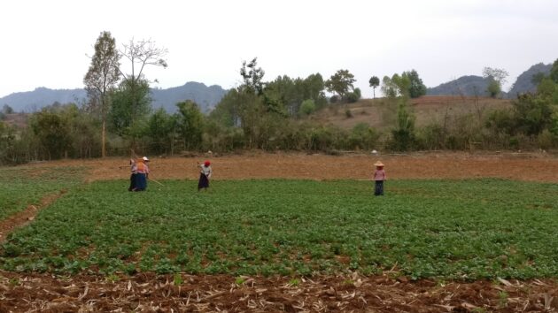 Wanderung Inle Kalaw