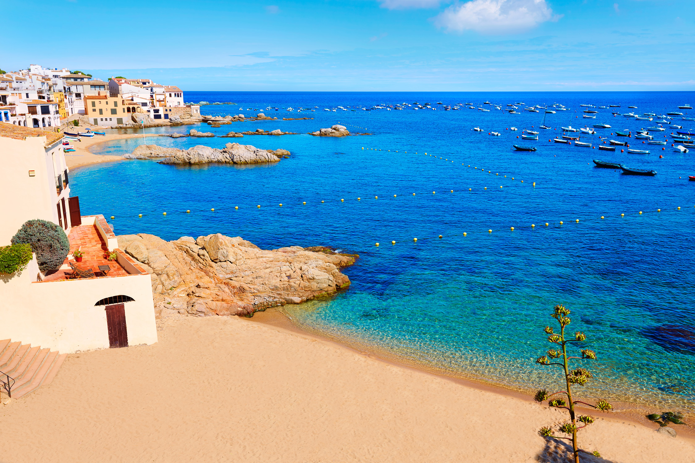Barcelona Beach Best Restaurants Barcelona Beach Best Restaurants