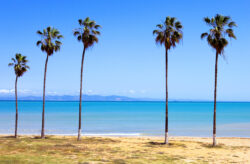 Tunesien: 7 Tage Hammamet im 4* Strandhotel mit All Inclusive & Flug nur 430€