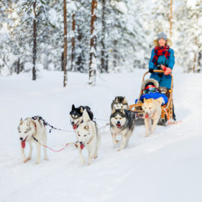 Huskysafari in Skandinavien: Tipps & Infos für eine Hundeschlittentour Huskysafari in Skandinavien: Tipps & Infos für eine Hundeschlittentour