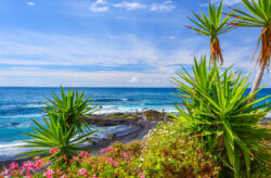 Singleurlaub auf Teneriffa: 7 Tage im Juli im tollen 4* Hotel mit Rooftop-Pool inkl. Frühstüc...