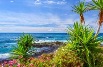 Singleurlaub auf Teneriffa: 7 Tage im Juli im tollen 4* Hotel mit Rooftop-Pool inkl. Frühstüc...