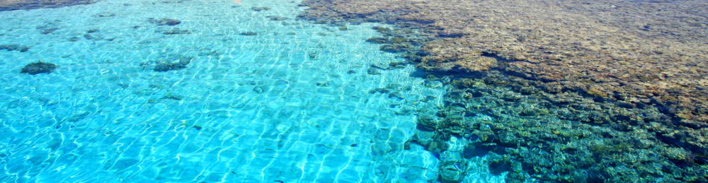 Red Sea, Aqaba gulf, Egypt. Coral reef.