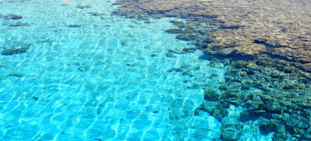 Urlaub unter Palmen: 8 Tage Ägypten im sehr guten 4* Beach Resort mit All Inclusive & Flug nur 491€