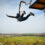 Bungee Jumping in Deutschland: Die Top Bungee Jumps für echte Adrenalinjunkies
