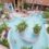 Goldener Herbst an der Nordsee: 4 Tage Center Parcs mit eigenem Comfort-Ferienhaus ab 48€ p.P.