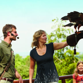 Familienspaß: 2 Tage im Baumhaus im Natur-Resort Tripsdrill mit Frühstück & Wildparadies ab 69€ Familienspaß: 2 Tage im Baumhaus im Natur-Resort Tripsdrill mit Frühstück & Wildparadies ab 69€