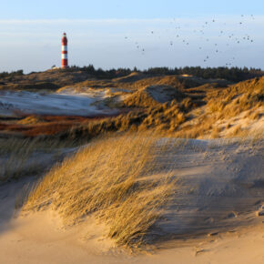 Hotelöffnungen ab Mai: 4 Tage Friesland am WE mit Hotel, Frühstück & Dinner für 190€