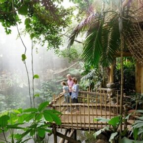 Center Parcs: Übernachtung in der Jungle Cabana, Urwaldfrühstück & Aqua Mundo nur 54€ Center Parcs: Übernachtung in der Jungle Cabana, Urwaldfrühstück & Aqua Mundo nur 54€