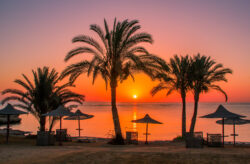 Ägypten-Kracher: 8 Tage Soma Bay im tollen 4* Hotel mit All Inclusive & Flug