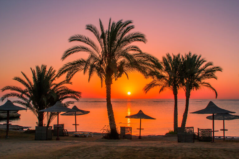Sonnenuntergang am Strand mit Palmen in Ägypten
