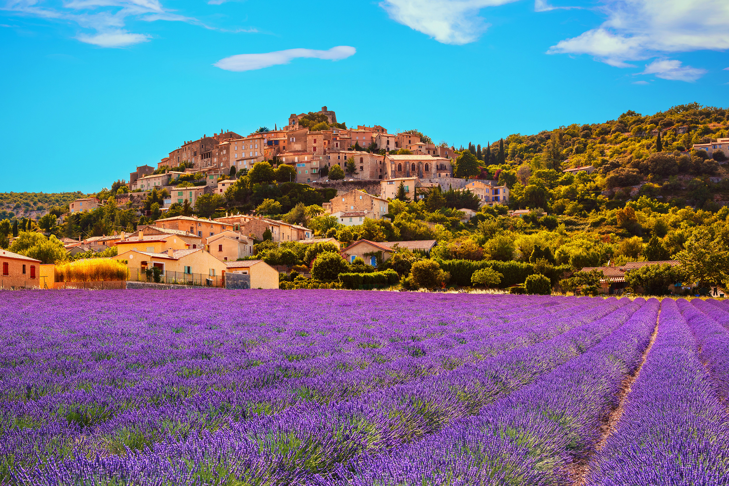 Traum In Lila 8 Tage Provence Zur Lavendelblute Mit Unterkunft