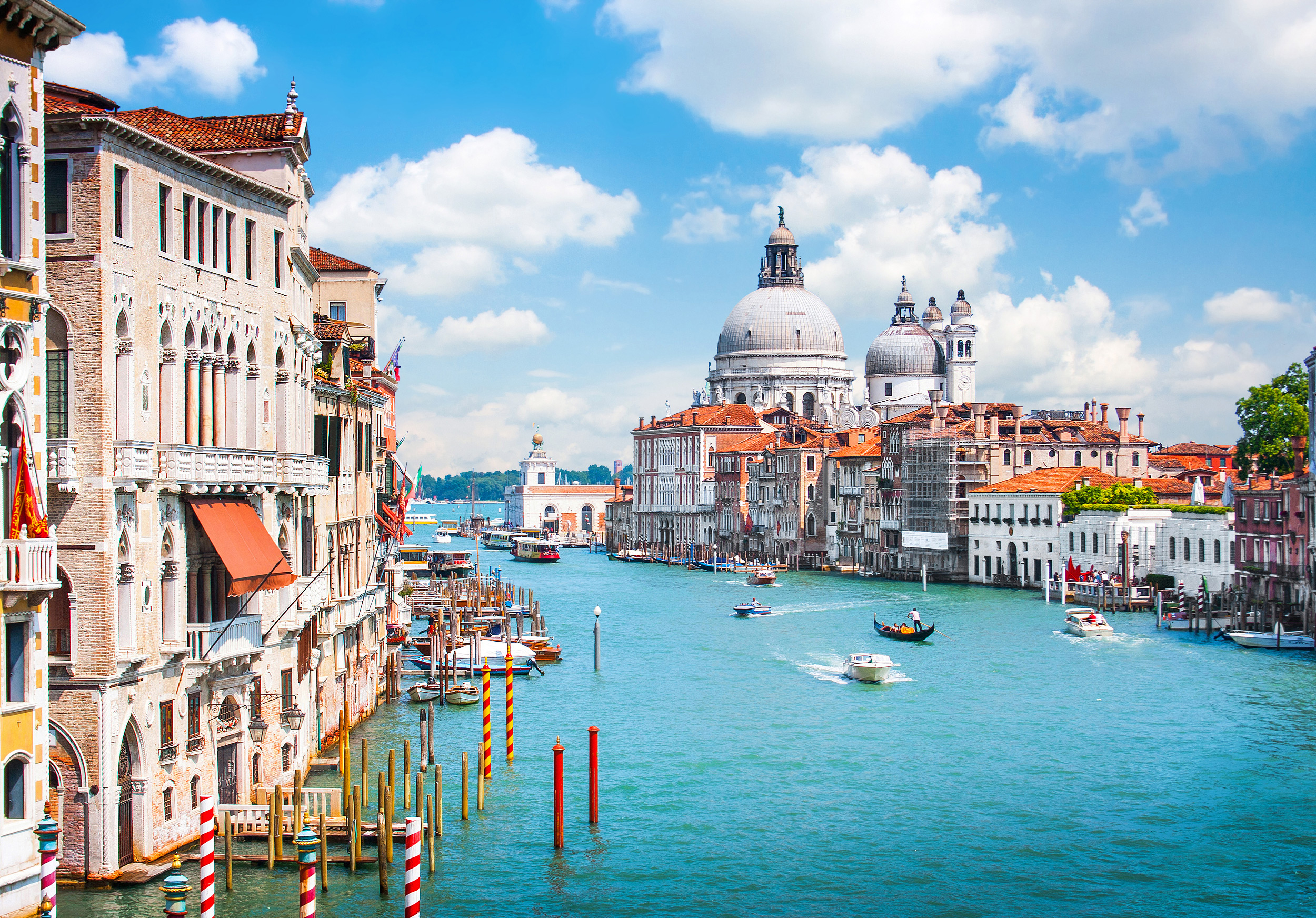 Backpage Venice