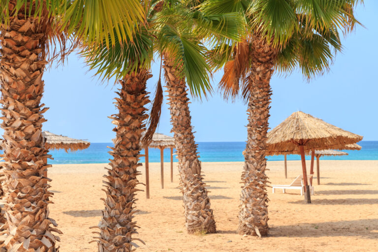 Kap Verde Boavista Strand mit Palmen