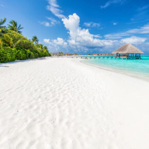 Traumhaft: 13 Tage Malediven im TOP Insel-Resort mit All Inclusive, Flug & Transfer nur 1.356€ Traumhaft: 13 Tage Malediven im TOP Insel-Resort mit All Inclusive, Flug & Transfer nur 1.356€
