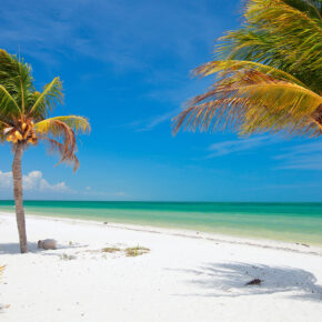 Absoluter Geheimtipp: 10 Tage auf der mexikanischen Insel Holbox mit Hotel in...