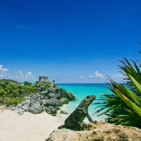 Viva la Mexiko: 8 Tage im guten 5* Boutique Hotel in Tulum mit Flug nur 476€ Viva la Mexiko: 8 Tage im guten 5* Boutique Hotel in Tulum mit Flug nur 476€