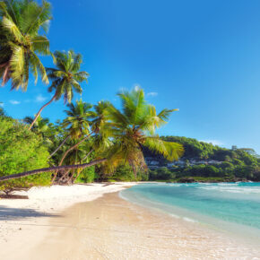 Seychellen-Inselhopping: 11 Tage mit tollen Unterkünften, Transfers und mehr nur...