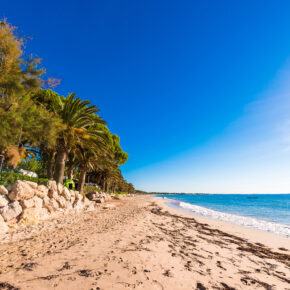 Ab nach Spanien: 5 Tage an der Costa Dorada mit 4* Hotel, Halbpension & Flug nur 195€ Ab nach Spanien: 5 Tage an der Costa Dorada mit 4* Hotel, Halbpension & Flug nur 195€
