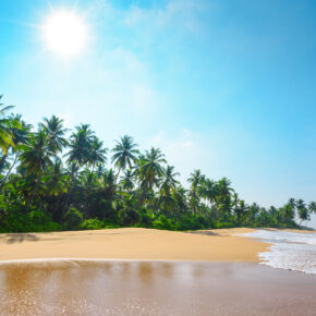 Abenteuer Sri Lanka: 12 Tage mit Unterkunft und Flug nur 425€ Abenteuer Sri Lanka: 12 Tage mit Unterkunft und Flug nur 425€