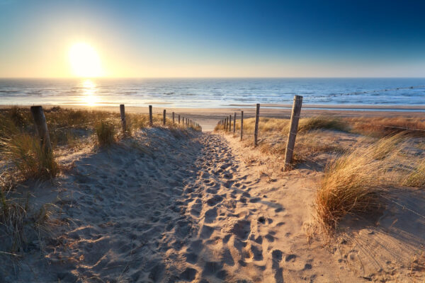 kans Zij zijn handtekening Strandhaus in Holland (2023): Haus am Strand ab 75€