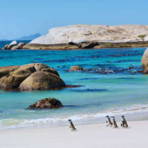 Südafrika: 15 Tage Rundreise durch Südafrika mit Hotels, Frühstück, Flug & Transfer ab 1.899€ Südafrika: 15 Tage Rundreise durch Südafrika mit Hotels, Frühstück, Flug & Transfer ab 1.899€
