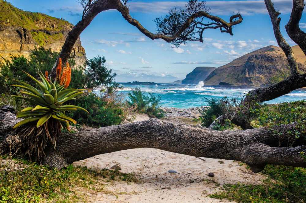 Luxusurlaub S  dafrika  Lodges  Shopping Aktivit  ten Urlaubstracker de