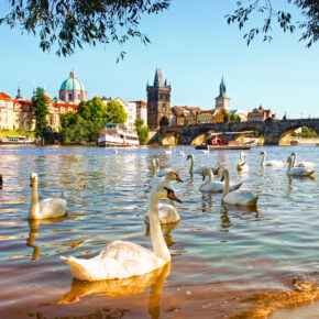 Wochenende in Prag: 2 Tage in einer Unterkunft mit Sauna nur 16€