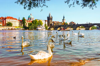 Städtetrip nach Prag: 3 Tage in einer Unterkunft mit Sauna nur 32€