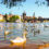Wochenende in Prag: 2 Tage in einer Unterkunft mit Sauna nur 17€