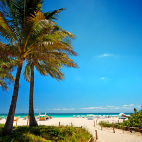 Florida Roadtrip: 10 Tage mit dem Camper durch den Sunshine State Florida Roadtrip: 10 Tage mit dem Camper durch den Sunshine State