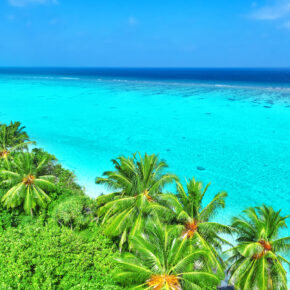 Malediven Megadeal: 18 Tage auf den Malediven im guten Strandhotel mit Flug & Frühstück nur 667 € Malediven Megadeal: 18 Tage auf den Malediven im guten Strandhotel mit Flug & Frühstück nur 667 €