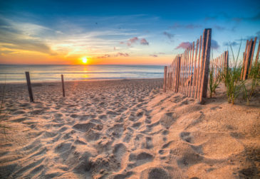 Kurztrip nach Holland: 2 Tage Den Haag im tollen 4* Hotel mit Frühstück nur 62,50€