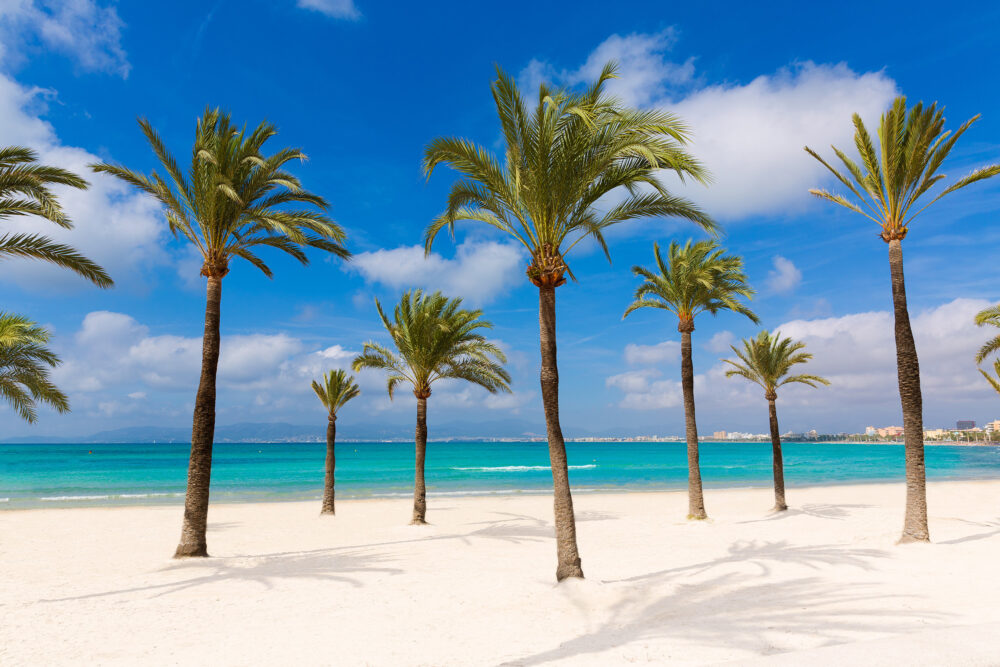 Platja de Mallorca