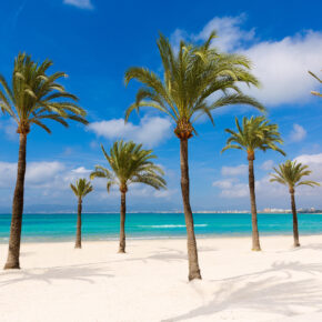 Mallorca im Mai & Juni: 7 Tage mit Hotel, All Inclusive & Flug nur 176€ Mallorca im Mai & Juni: 7 Tage mit Hotel, All Inclusive & Flug nur 176€