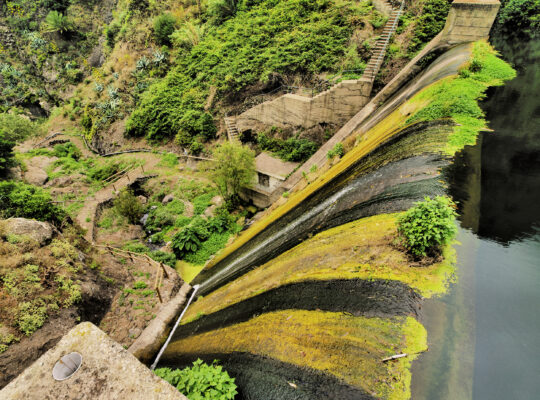 Spanien Kanaren La Gomera Garajonay Nationalpark