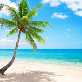 Thailand: 9 Tage in Hua Hin mit TOP 5* Hotel, Frühstück, Flug & Transfer nur 599€ Thailand: 9 Tage in Hua Hin mit TOP 5* Hotel, Frühstück, Flug & Transfer nur 599€