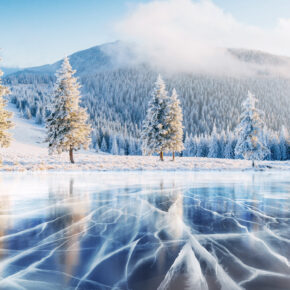 Die Eiskönigin: Diese Frozen Events dürft Ihr Euch nicht entgehen lassen Die Eiskönigin: Diese Frozen Events dürft Ihr Euch nicht entgehen lassen