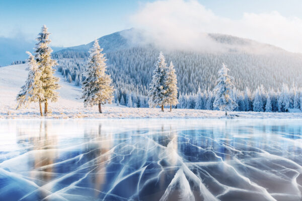 Ukraine Winter Frost
