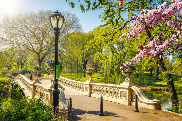 USA New York Central Park Brücke